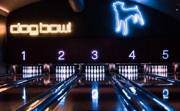 Dog Bowl in Manchester